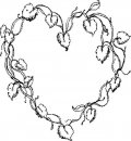 misti/giardino/vine heart.JPG